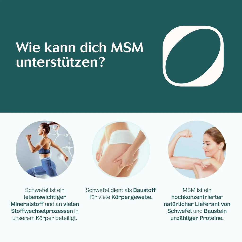 MSM Kapseln