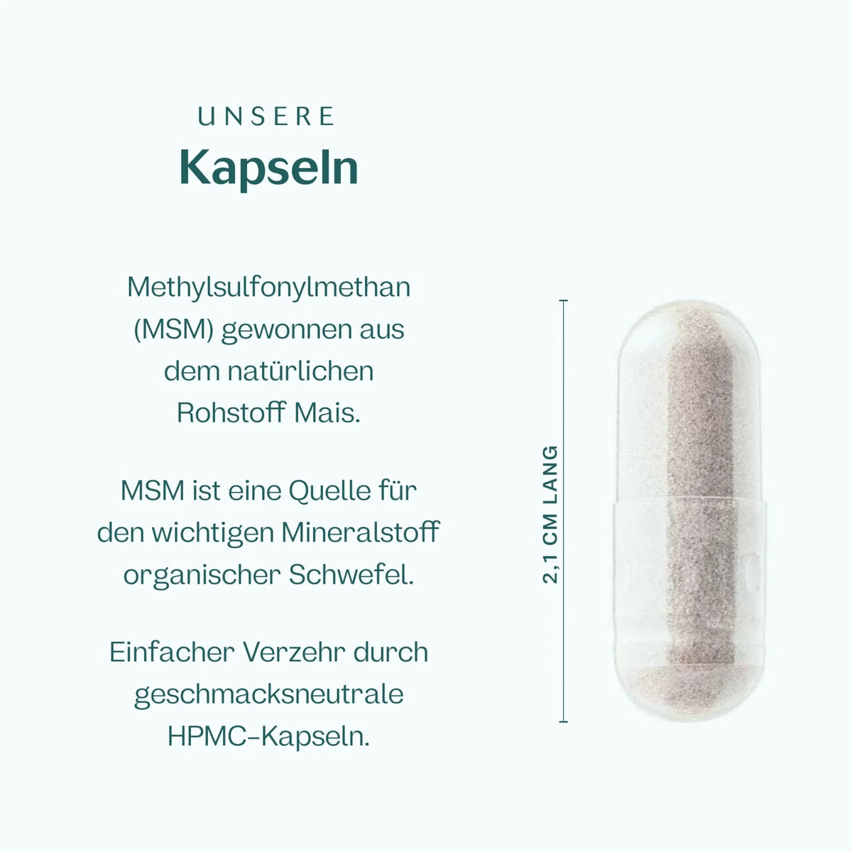 MSM Kapseln