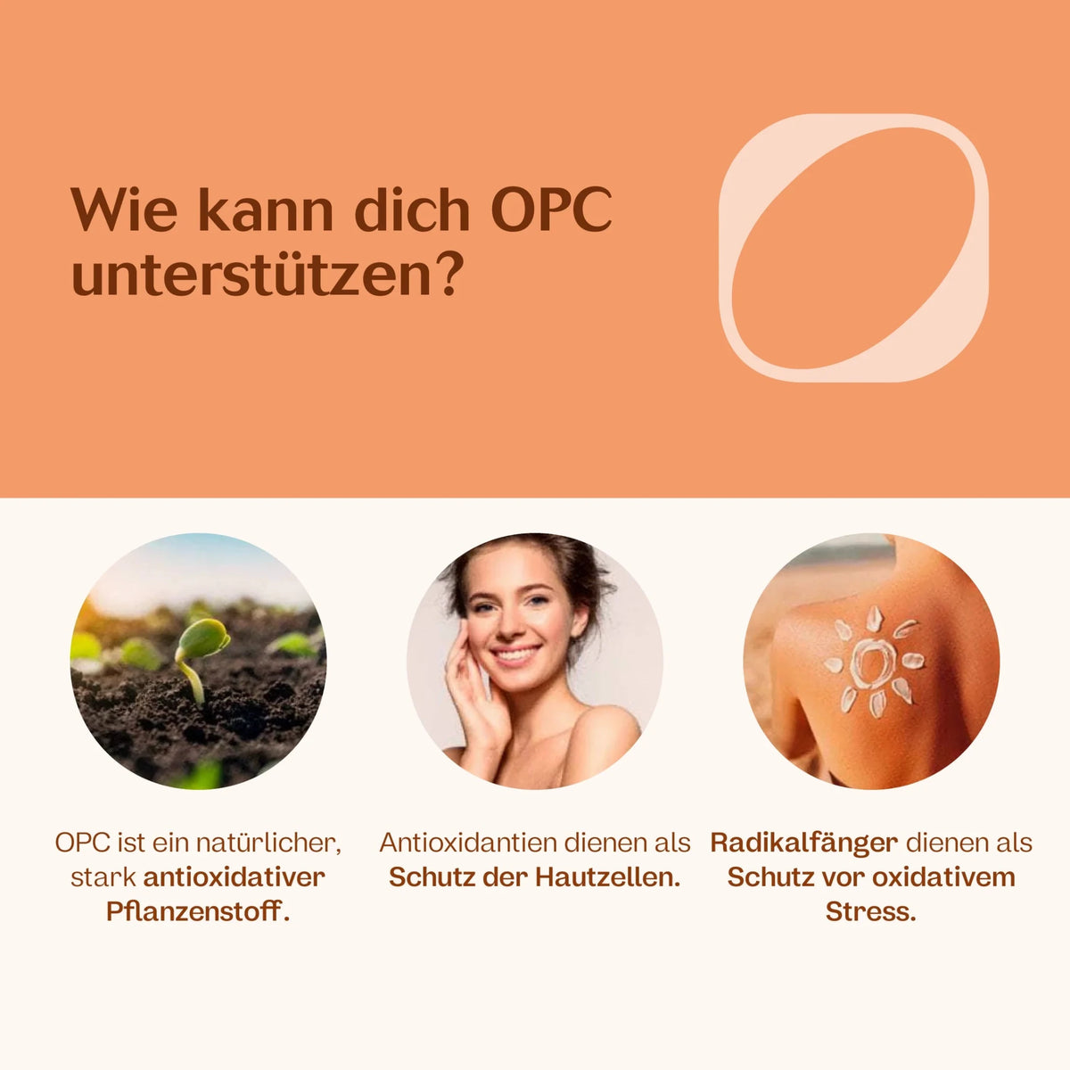OPC Komplex Kapseln