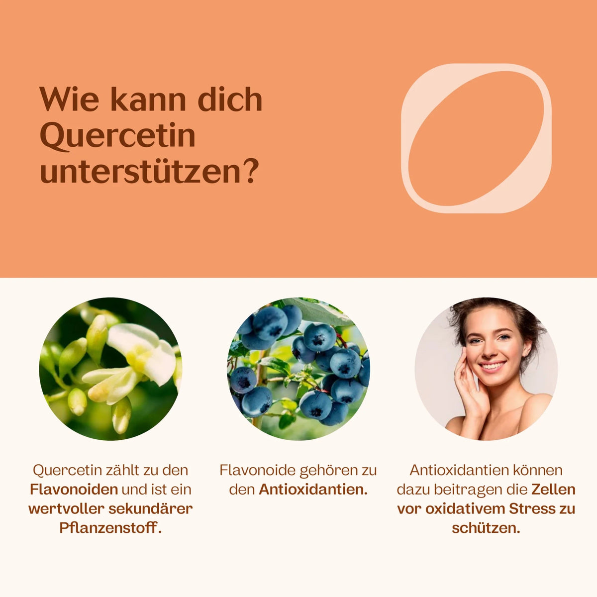 Allergie-Paket