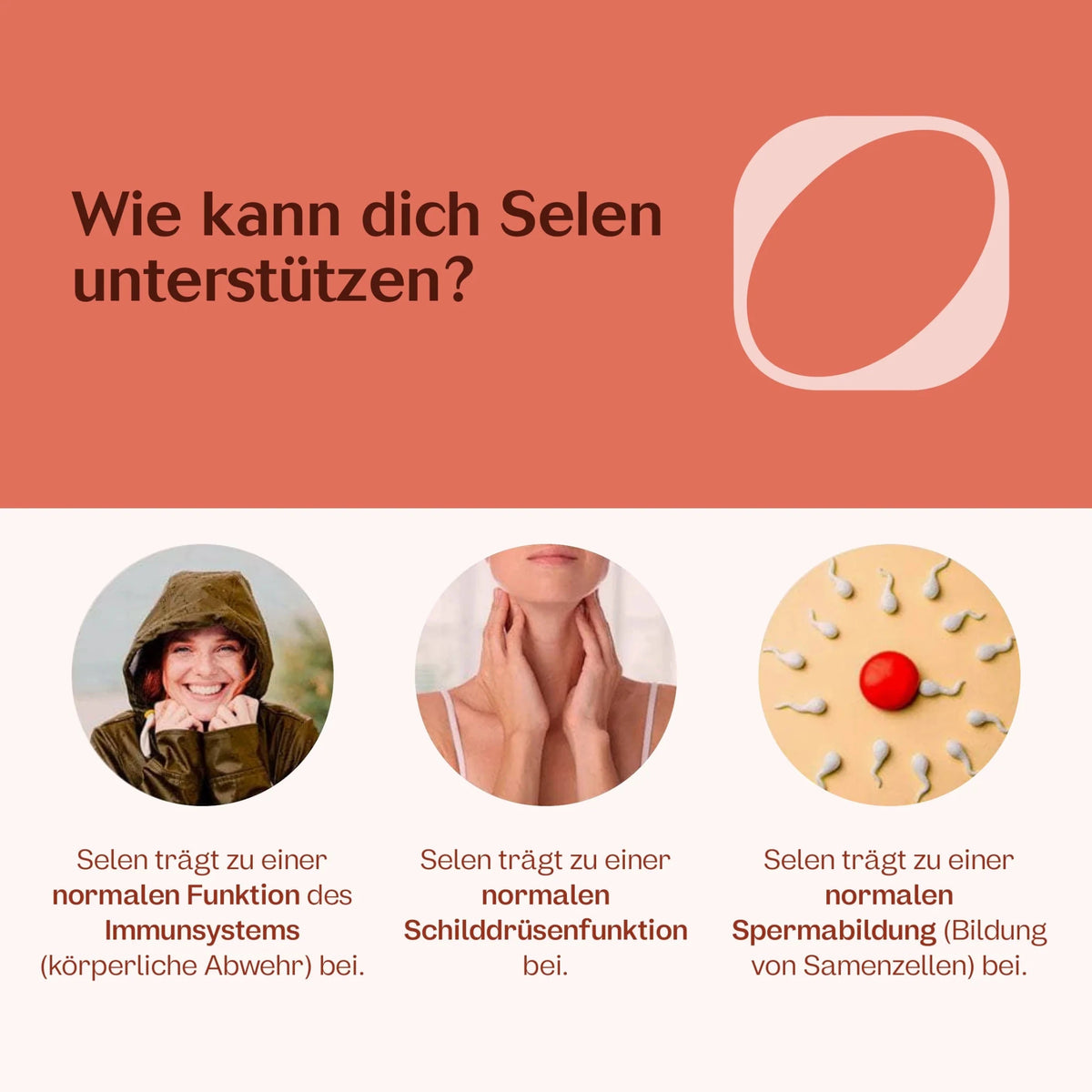 Slow Aging Paket