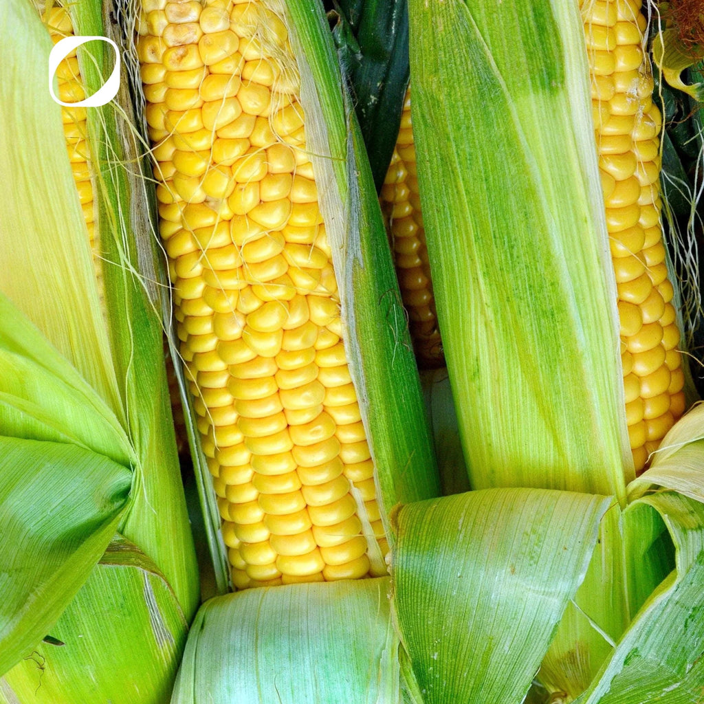 Skin Essentials 30 Kapseln