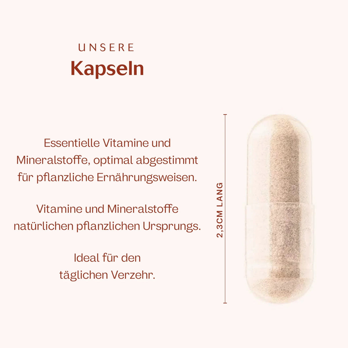 Vegan Komplex 60 Kapseln