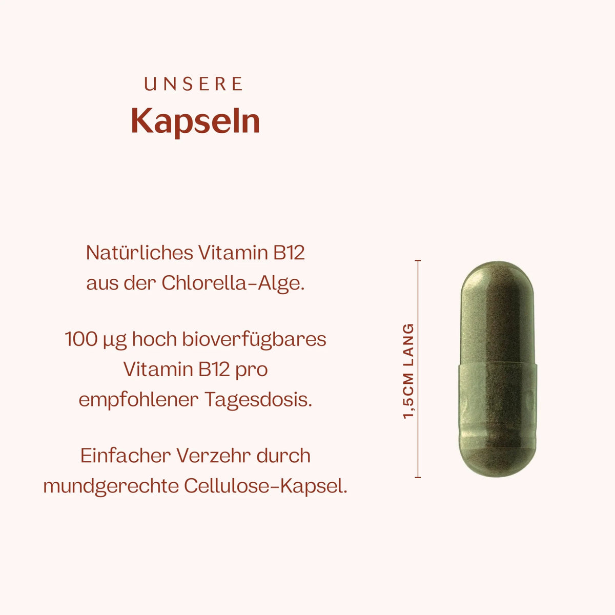 Vitamin B12 Chlorella 250 µg Kapseln