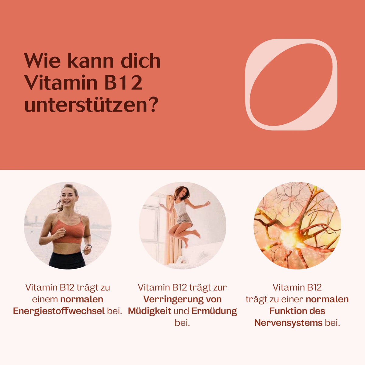 Essential-Paket