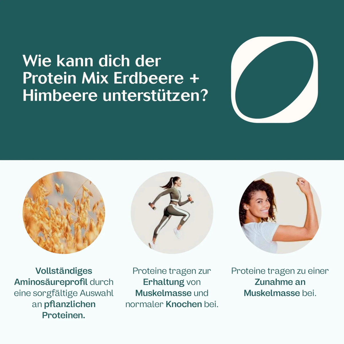 Bio Veganer Protein Mix Erdbeere + Himbeere
