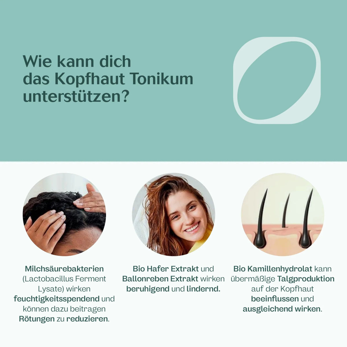 Kopfhaut Tonikum