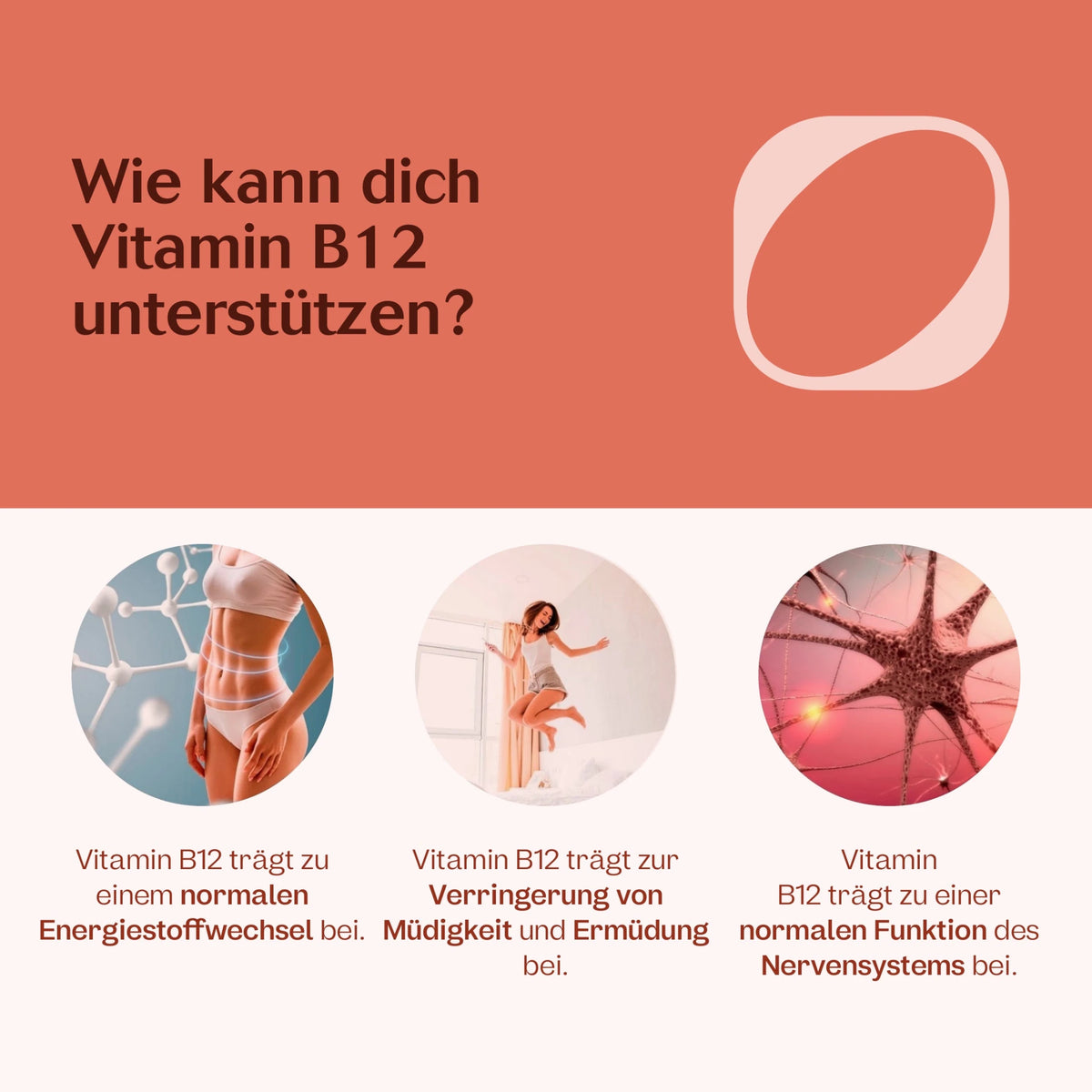 Vegan-Starter-Paket