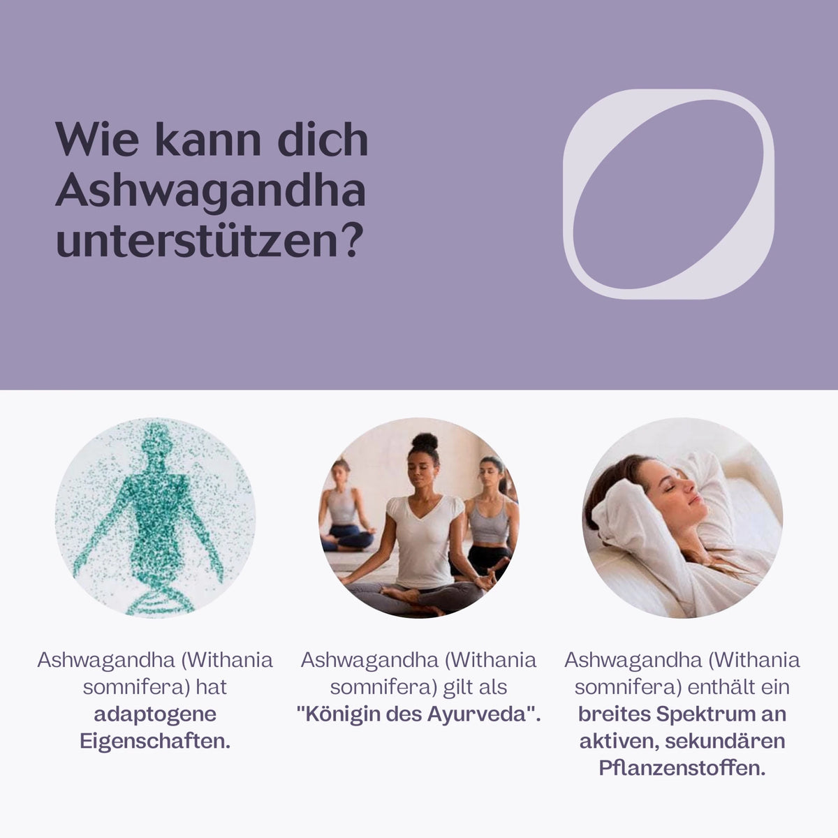 Ashwagandha Extrakt Tropfen