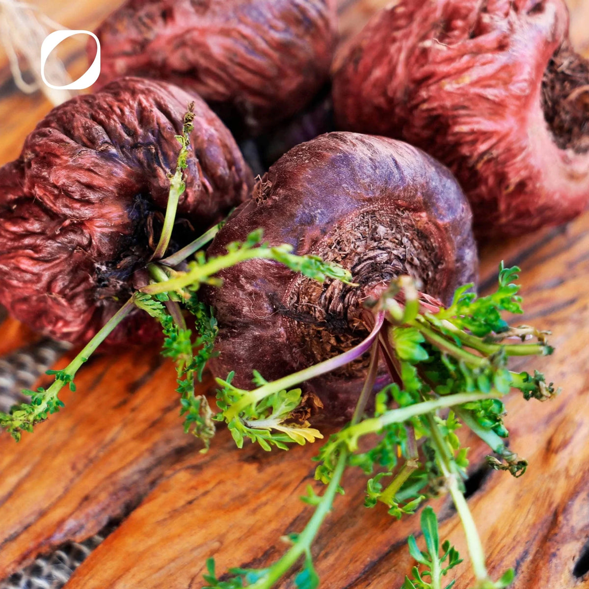 Bio rotes Maca-Extrakt Tropfen 75 ml