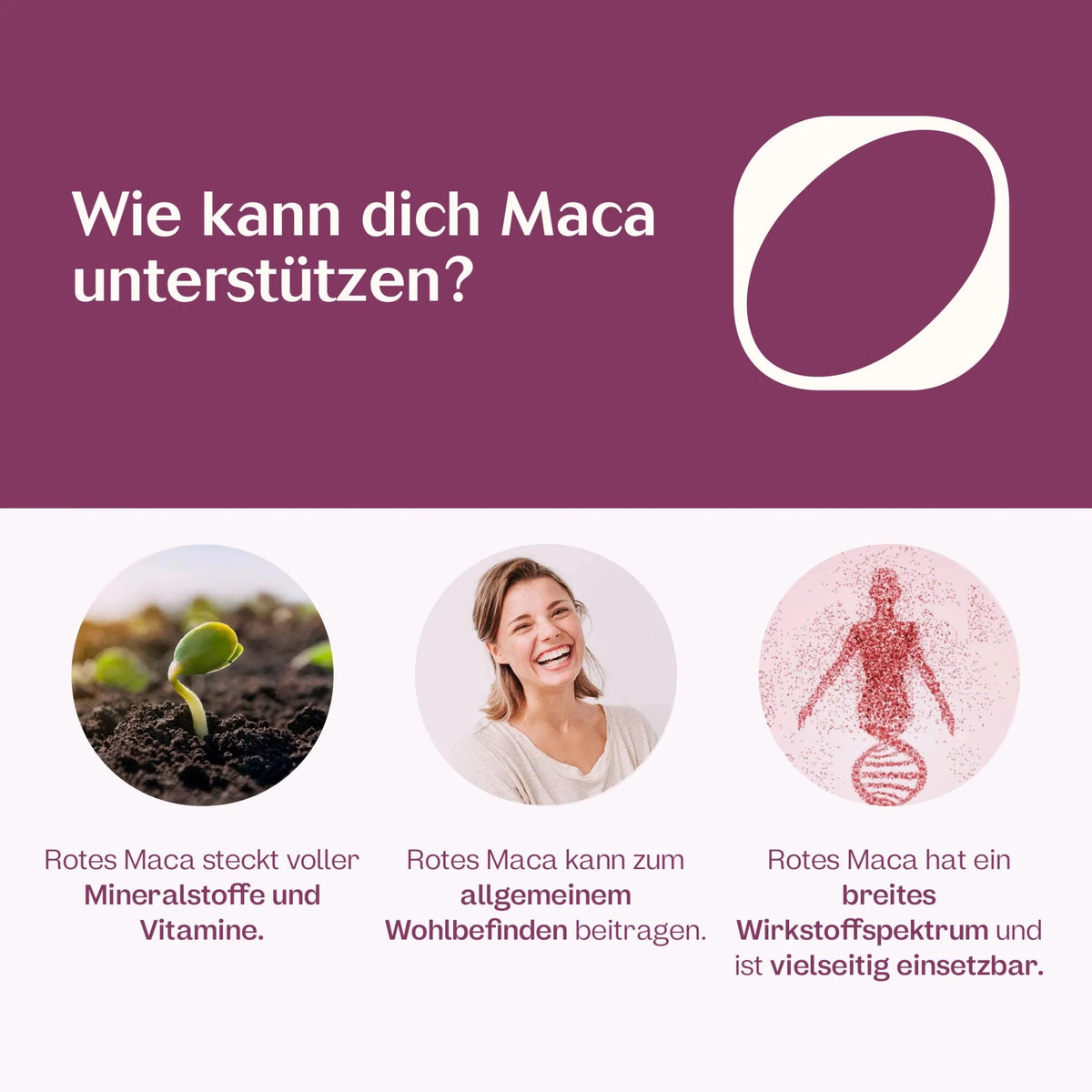 Bio rotes Maca-Extrakt Tropfen 75 ml