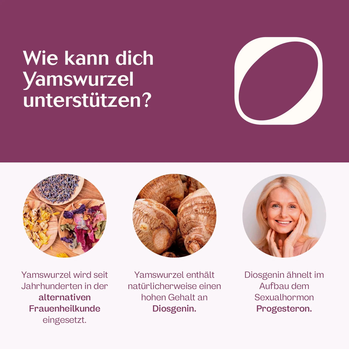 Wilde Yamswurzel Extrakt Kapseln