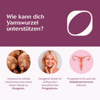 Wilde Yamswurzel Extrakt Tropfen