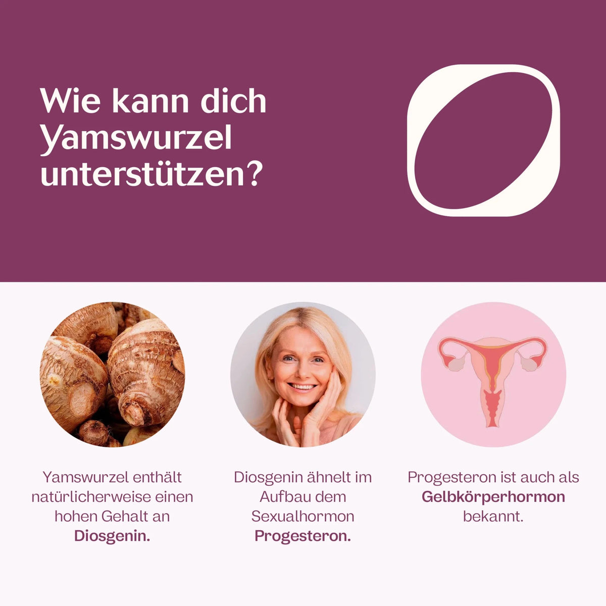 Wilde Yamswurzel Extrakt Tropfen
