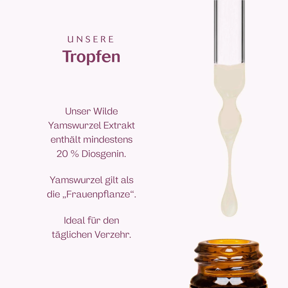 Wilde Yamswurzel Extrakt Tropfen