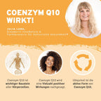 InnoNature Pakete 1x Vorrat (1x Coenzym Q10, 1x Astaxanthin, 1x Selen, 1x OPC) Slow Aging Paket